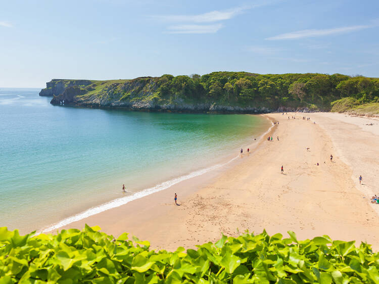 Barafundle Bay | Pembrokeshire, Wales