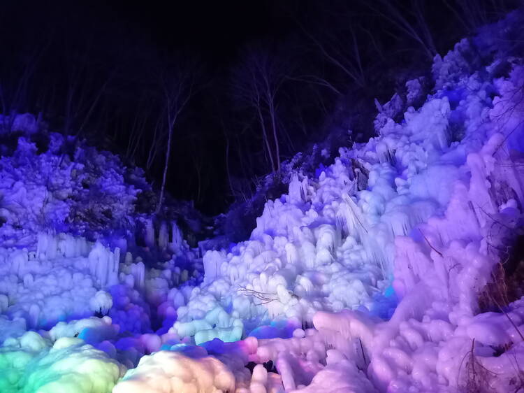 A frozen forest will appear just outside of Tokyo this winter – and it's lit up at night