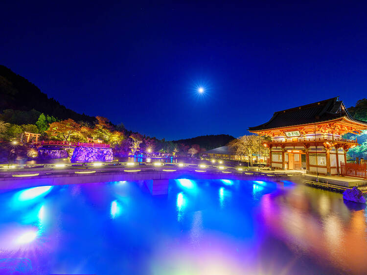 Katsuo-ji temple in Osaka is lighting up for autumn night visits