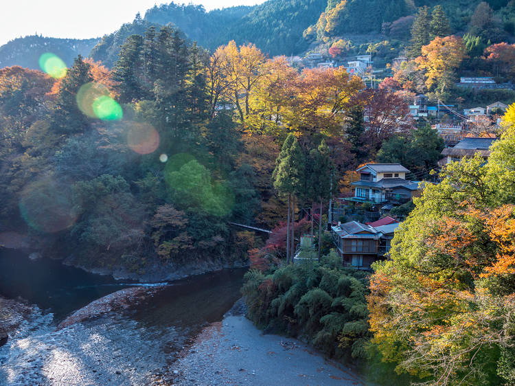 7 best nature escapes in Tokyo